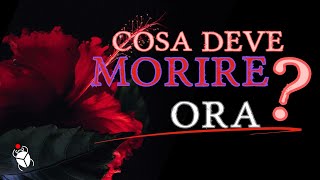 COSA DEVI FAR MORIRE ORACosa lasciar finireandare Lettura interattiva [upl. by Gonroff]