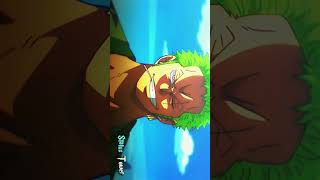 Straw Hats👒  EDITAMV  Luffy x Zoro shorts ytshorts onepiece monkeydluffy [upl. by Hanoj973]