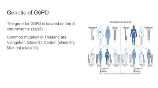 G6PD deficiency for Medical student [upl. by Brandyn82]