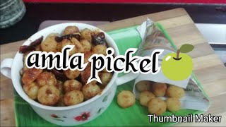 Nellikai Urugai in Tamil Amla pickle  Indiana gooseberry [upl. by Merv]