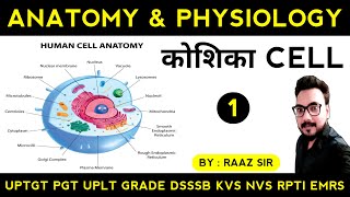 Cell कोशिका  Anatomy amp Physiology Theory Class 1  Physical Education Online Class in Hindi [upl. by Ohploda533]