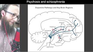 04 05  Five dopamine pathways in the brain  مسارات الدوبامين الخمسة في الدماغ [upl. by Rodmann]