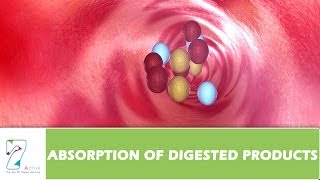 ABSORPTION OF DIGESTED PRODUCTS [upl. by Dnallor]