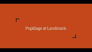 Pupillage at Landmark Chambers [upl. by Odareg]