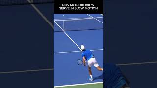 “Djokovic’s Serve in Stunning Slow Motion 🎾  The Art of Precision” [upl. by Aluap]