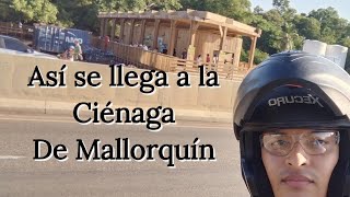 Así se llega a la Ciénaga de Mallorquín en Barranquilla [upl. by Eimile]