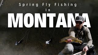 Spring Fly Fishing in Montana [upl. by Fineman]