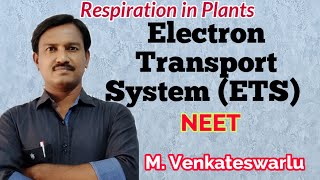 Electron Transport System ETS and Oxidative Phosphorylation [upl. by Abie]