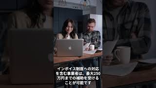 【持続化補助金】中小企業必見！これから始まる主要補助金 [upl. by Akkin33]