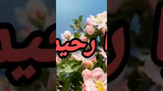 Mecc👍islamic status❣️ islamic short WhatsApp status🌹short❤️❤️❤️ [upl. by Conny]