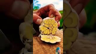 Outdoor cooking food cooking outdoorcooking recipe nature forest fire asmr foodie [upl. by Nolos]