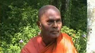 Bhante Gunaratana 20 Mindful Listening [upl. by Annaili883]