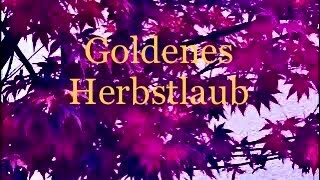 Goldenes Herbstlaub… [upl. by Notluf]