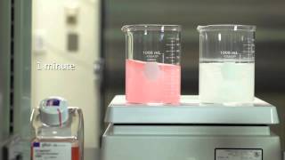 Dissolving Gibco FunctionMAX™ TiterEnhancer in water [upl. by Adnohsel]