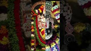 Tirumala vaasa music festival like song musicgenre lordgovinda [upl. by Ronn885]