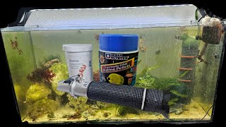 video dentretien de mon aquarium recifal [upl. by Padraic]