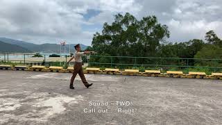 Foot Drill Lesson 13  Marching and Halting in Quick Time [upl. by Nester]