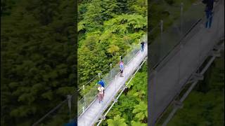 Hidden Gem of New Zealand shorts suspensionbridge travel newzealand dji [upl. by Jabin]