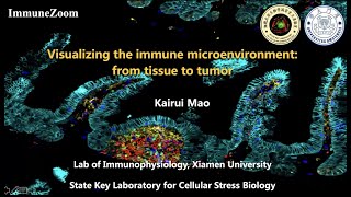 Visualizing the immune microenvironment from tissue to tumor [upl. by Mialliw]