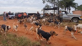 Uma grande Caçada  Várias equipes  Aniversário do Werle e Kauan [upl. by Tera275]