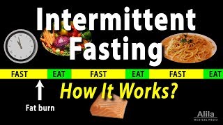 Intermittent Fasting  How it Works Animation [upl. by Novel]