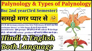 Palynology amp Types of Palynology  Part1 Morphology  परागकण  Bsc 2nd year3rd Semester bsc [upl. by Pepi]