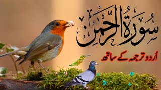 SURAH RAHMAN TARJUMA K SATH  BY QARI Al SHAIKH MUHAMMAD  QURAN TILAWAT BEAUTIFUL VOICE  EP 159 [upl. by Ecnedac882]