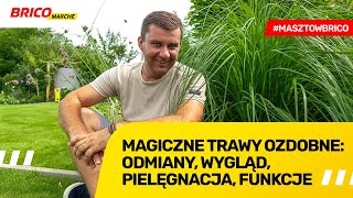 Magiczne trawy ozdobne odmiany wygląd pielęgnacja funkcje [upl. by Eenyaj]