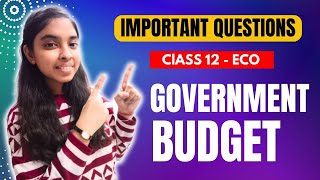 Government Budget  Important Questions  Class 12  Economics  Boards 2024 [upl. by Recor]