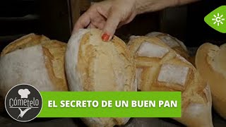 Cómetelo  Descubrimos en Benamocarra el secreto de un buen pan [upl. by Allain228]