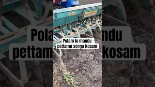 polam lo mandu pedatanamu  shorts ytshorts telugushorts viralshorts vlog dailyvlog farming [upl. by Hyps]