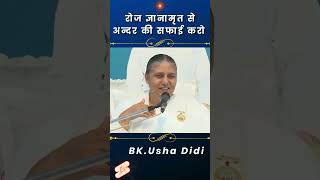 रोज ज्ञानामृत से अंदर की सफाई करो  BKUsha Didi  madhubanmurlilivetodayenglish bkmurlitodayi [upl. by Llenna]