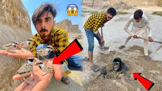 Nayab Birds Ke Bache Rescue Kar Leay😱 Aur Gorilla Ko Maar Kar Dafna Dea😱 [upl. by Yblehs]