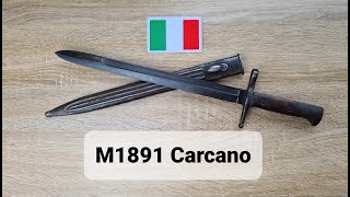 A surprisingly modern blade The M1891 Carcano bayonet [upl. by Vanhook962]