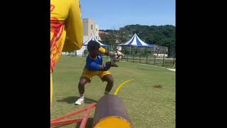 Wicket keeping drill using pitch roller and fusion stump shortsvideo wicketkeepingdrills shorts [upl. by Gilmer769]