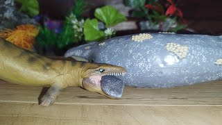 Gray Whale VS Dakosaurus Birthday Special [upl. by Nannarb]