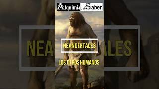 Neandertales Los otros humanos ¿Por qué se extinguieron  alquimia del Saber  Sh52 prehistoria [upl. by Vergil294]