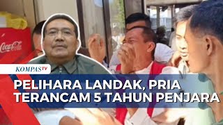 Kata Pakar Hukum soal Warga Badung Bali Didakwa 5 Tahun Penjara GaraGara Pelihara Landak Jawa [upl. by Nigem]