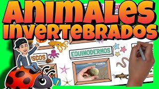 🦟 ANIMALES INVERTEBRADOS para NIÑOS de PRIMARIA [upl. by Sheila]