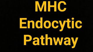 Endocytic Pathway of Antigen Presentation complete and easy explanation [upl. by Akeim]