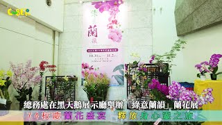 【CYBER TKU】74校慶蘭花盛宴 釋放身心靈之旅  淡江大學 [upl. by Egreog]