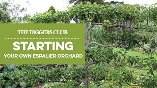 Starting Your Own Espalier orchard [upl. by Lysander137]