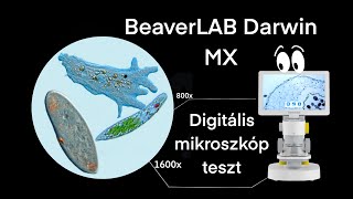 Beaverlab Darwin MX mikroszkóp teszt [upl. by Aizat]