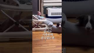 안들리는척 아는척도 안해줌 ㅋㅋ 아기 [upl. by Nnayar42]