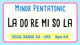 Minor Pentatonic Scale Vocal Exercise  Practice for Riffs amp Runs [upl. by Charissa]