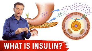 What Is Insulin – Dr Berg [upl. by Raimondo]