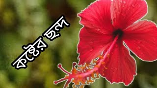 কষ্টের ছন্দ [upl. by Mahla251]