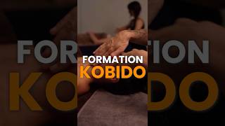 Formation Kobido [upl. by Ahseel419]