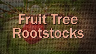 Fruit Tree Rootstock Basics – Family Plot [upl. by Sirenay362]