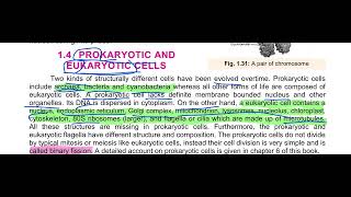 Prokaryotic and eukaryotic cell cell biology 11th class biology education prokaryotes eukaryot [upl. by Hube]